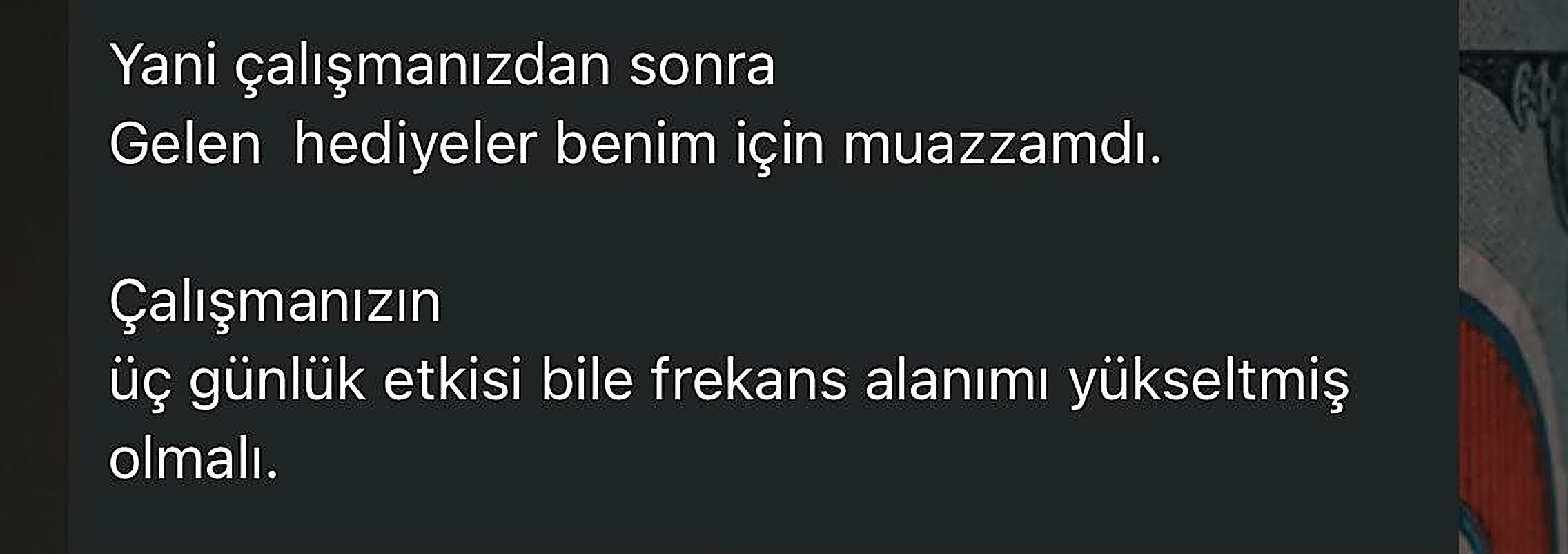Katılımcı mesajı 8